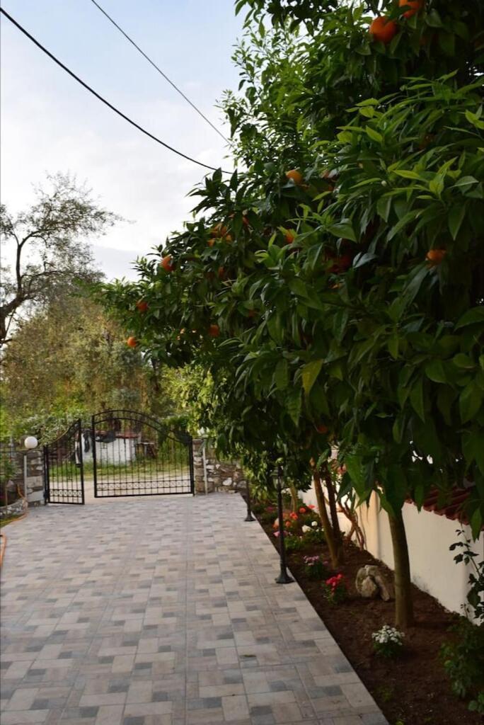 Tsafas Αpartments Apartment Limenas  Exterior foto