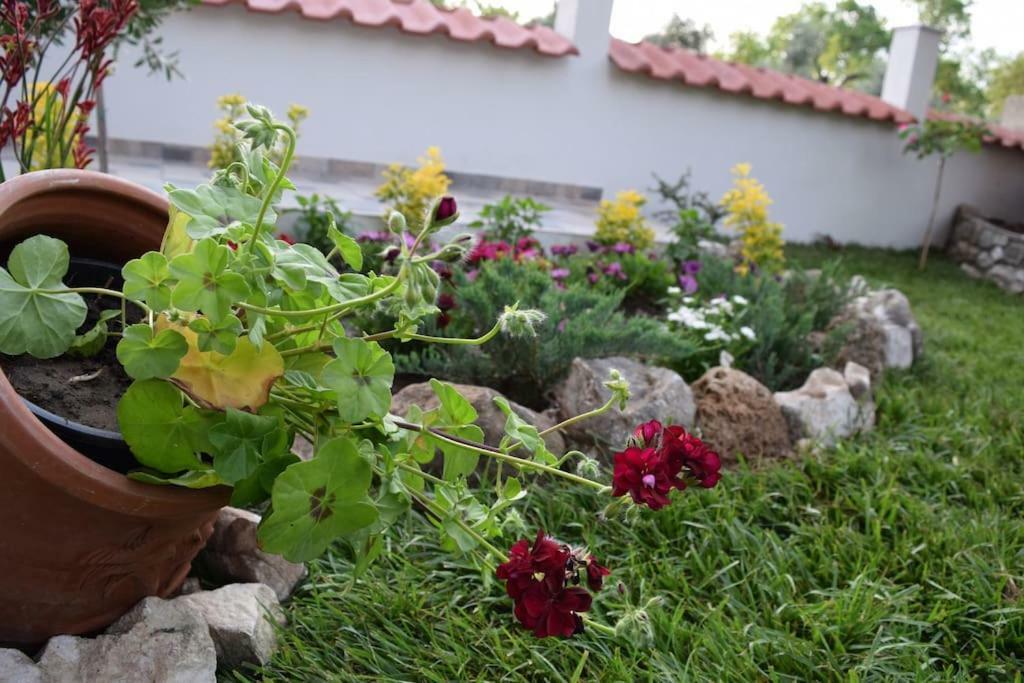 Tsafas Αpartments Apartment Limenas  Exterior foto